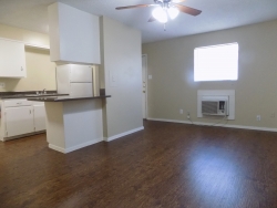 2801 San Antonio St, Apt 44 (2)