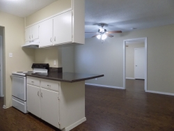 2801 San Antonio St, Apt 44 (9)