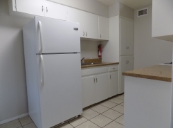 2914 San Antonio St., Apt. 14 (6)