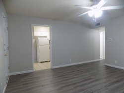 2914 San Antonio St., Apt. 14 (5)