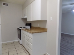 2914 San Antonio St., Apt. 14 (10)