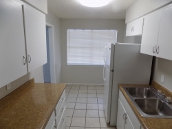 2914 San Antonio St., Apt. 14 (11)