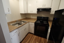 302 N Main St., Apt. 16 (4)