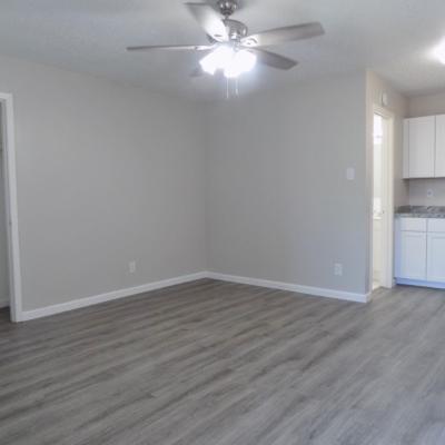 2801 San Antonio, Apt. 36 (2)